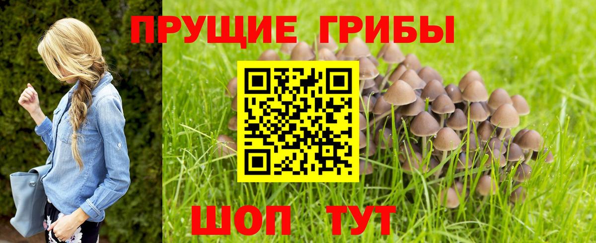 Галлюциногенные грибы мицелий Туапсе