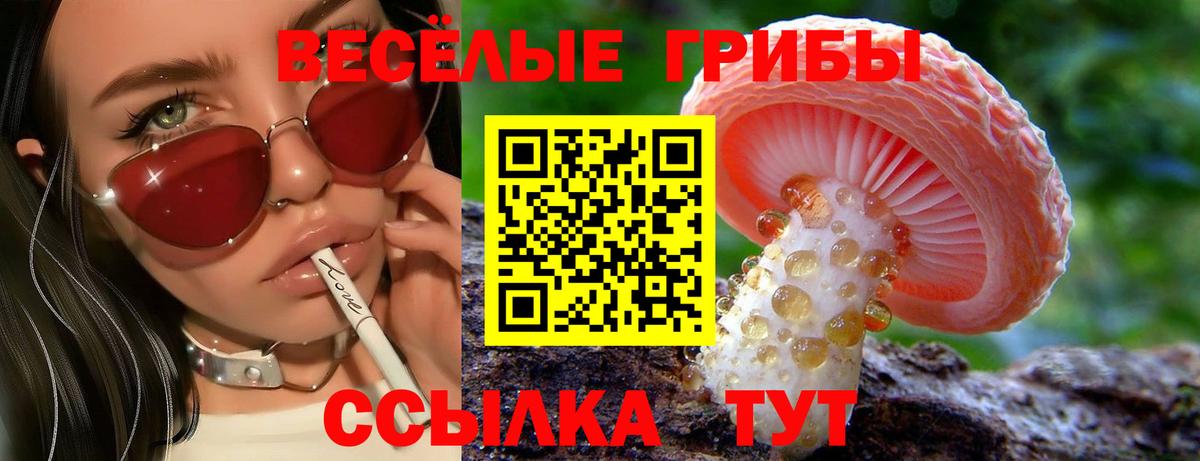 Галлюциногенные грибы ЛСД  Вход с VPN  Туапсе  Псилоцибиновые грибы Magic Shrooms 